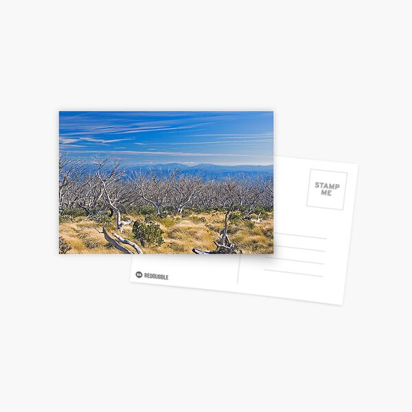 High Country Postcard