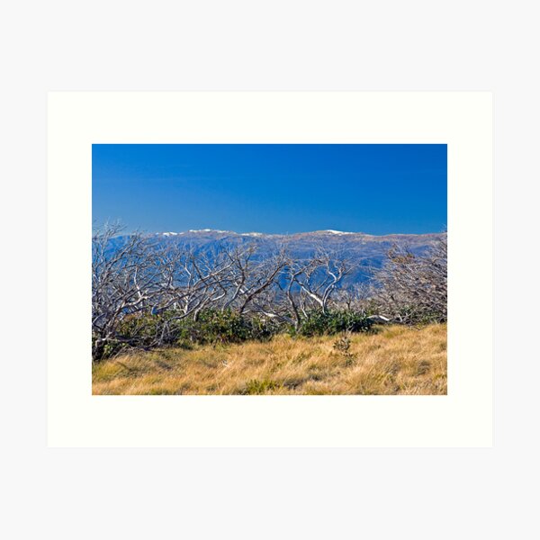 Item preview, Snowy Peaks designed and sold by Richard  Windeyer.