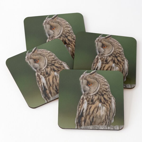 Item preview, long eared owl designed and sold by tammy mellor.