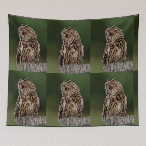 Item preview, long eared owl designed and sold by tammy mellor.