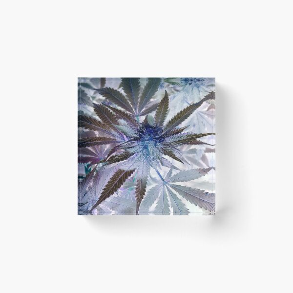 Item preview, In the Negative designed and sold by PhrozenPhotos.