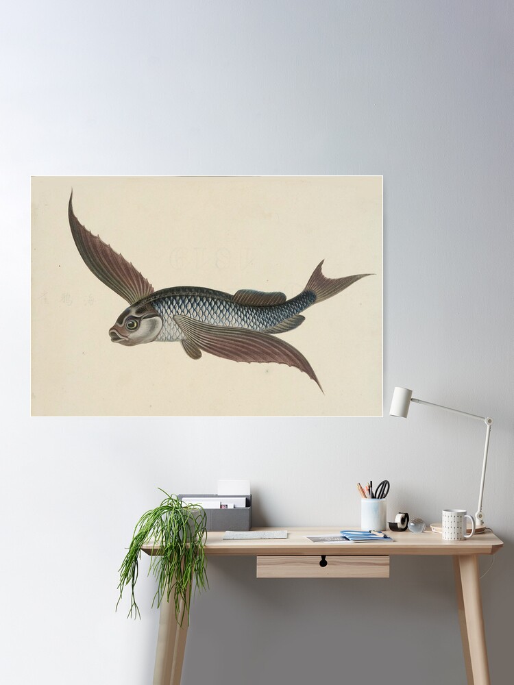 Fly Fishing Chart Poster for Sale by bluespecsstudio