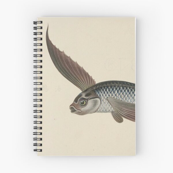 Item preview, Vintage Flying Fish designed and sold by BlueSpecsStudio.