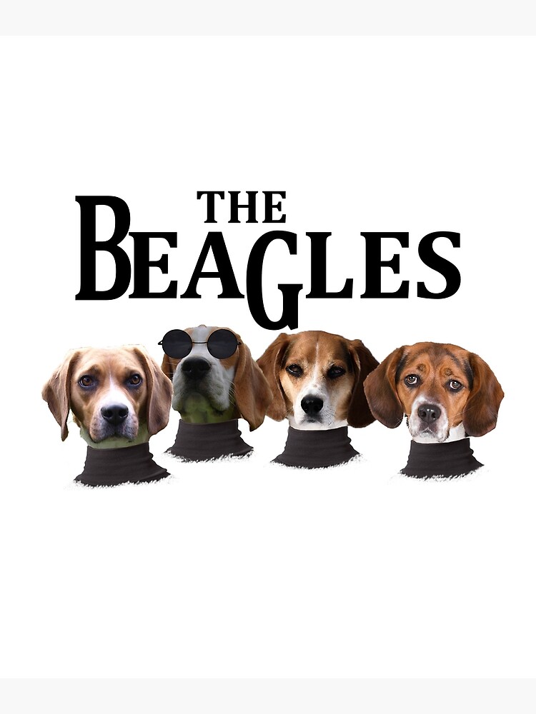 Beagles Funny Collection\