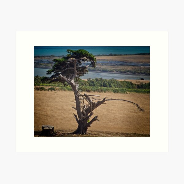 Item preview, Tree in Field designed and sold by Yukondick.