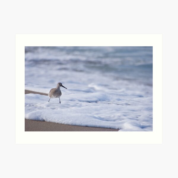 Item preview, Willett designed and sold by Simon Coates.