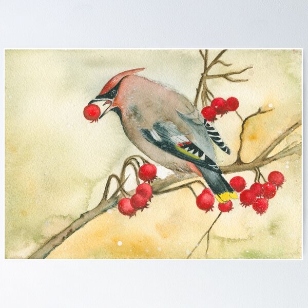 Item preview, Bohemian Waxwing Watercolor painting designed and sold by KatasArt.
