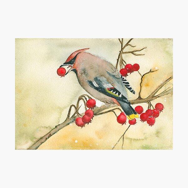 Item preview, Bohemian Waxwing Watercolor painting designed and sold by KatasArt.