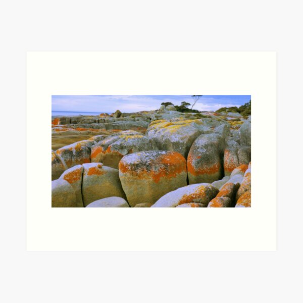 Item preview, Red Rocky Shore Line designed and sold by heidiypi1.