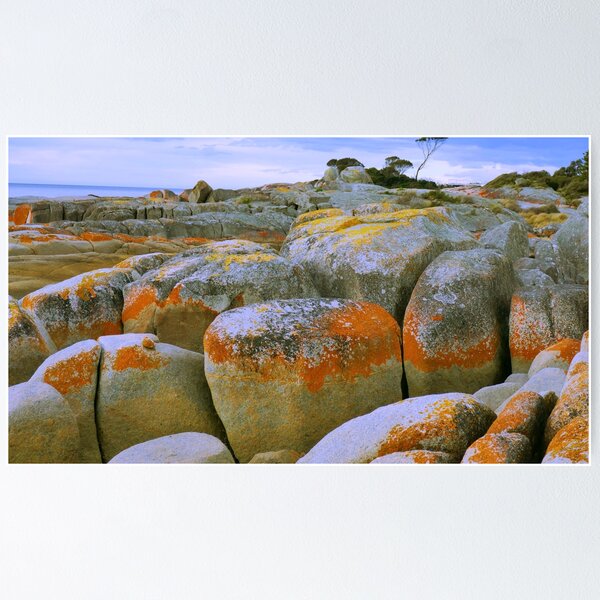 Item preview, Red Rocky Shore Line designed and sold by heidiypi1.