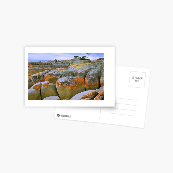 Item preview, Red Rocky Shore Line designed and sold by heidiypi1.