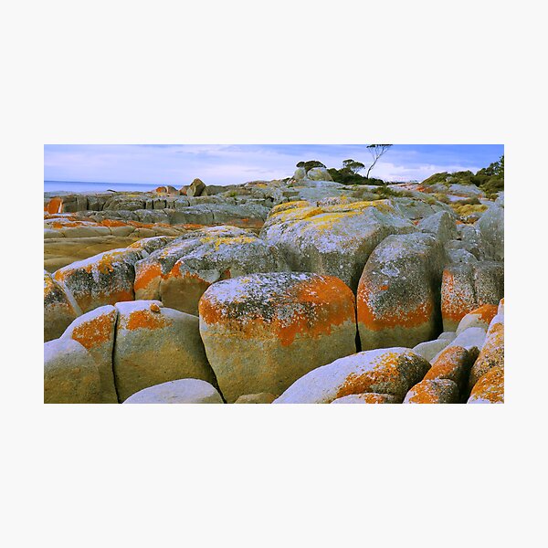 Item preview, Red Rocky Shore Line designed and sold by heidiypi1.