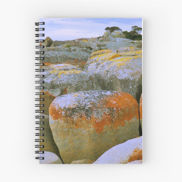 Item preview, Red Rocky Shore Line designed and sold by heidiypi1.