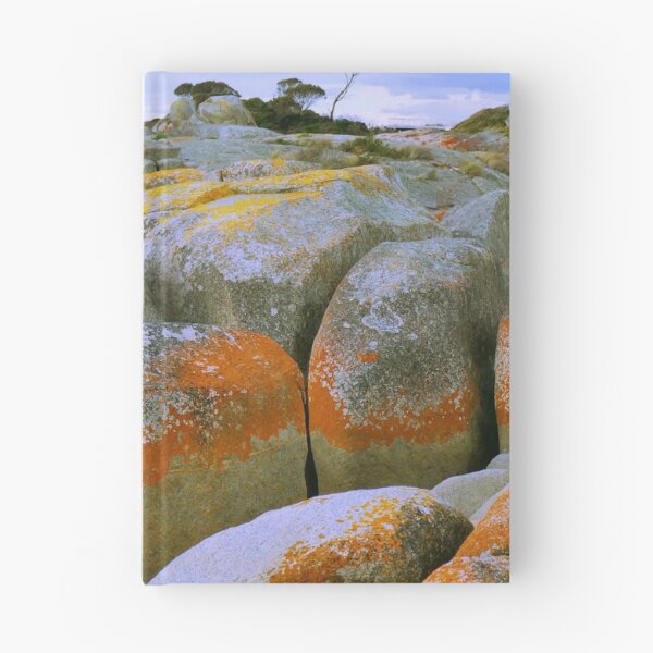 Item preview, Red Rocky Shore Line designed and sold by heidiypi1.