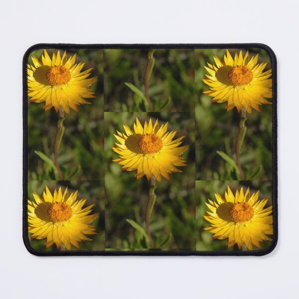 Item preview, Everlasting Daisy designed and sold by quentinjlang.