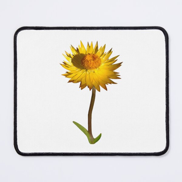 Item preview, Everlasting Daisy 2 designed and sold by quentinjlang.