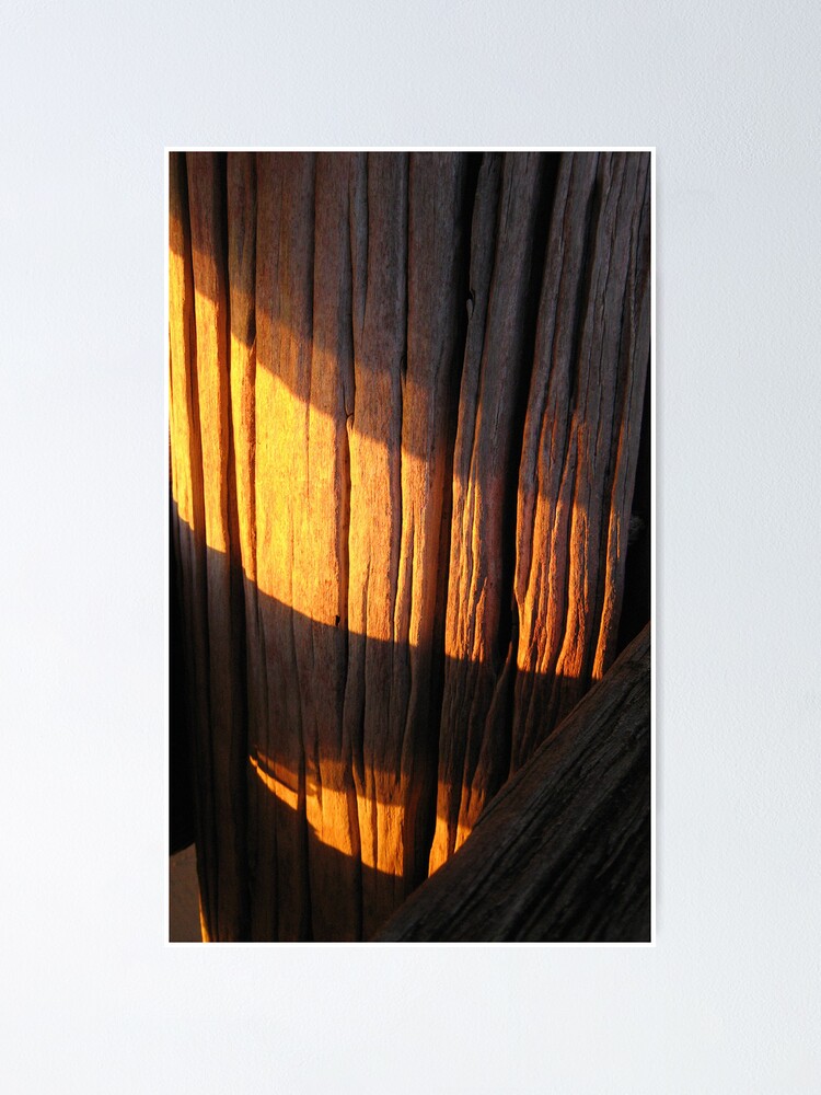 Alternate view of Jetty Gold Poster