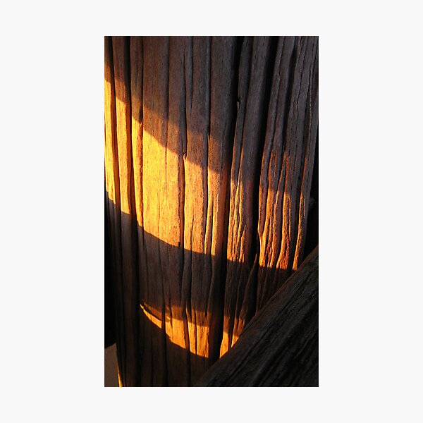 Jetty Gold Photographic Print