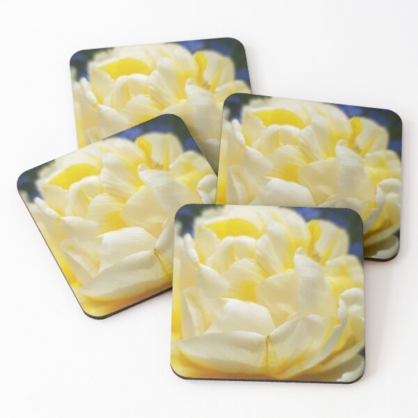 Item preview, Yellow flower in the morning Sun designed and sold by BlossomPix.