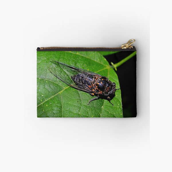 Item preview, Napping on a Pole Bean Leaf designed and sold by John McCarthy.