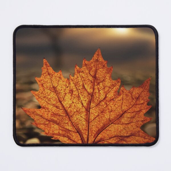 Item preview, Autumn leaves designed and sold by AbaTiro.