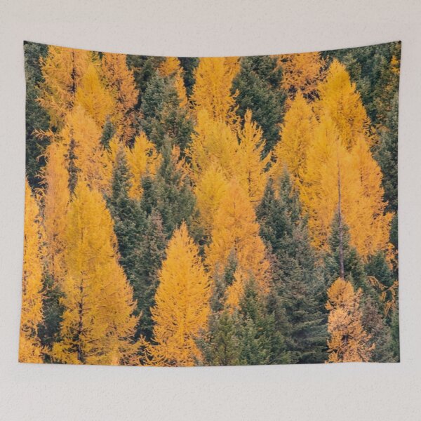 Artikelvorschau, Bunter Herbstwald (: entworfen und verkauft von AbaTiro.