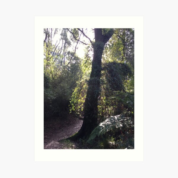 Forest Corner Art Print