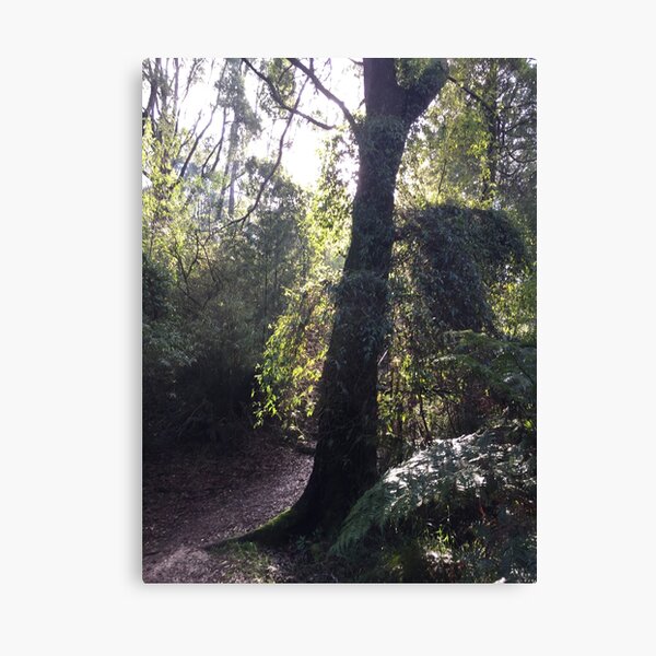 Forest Corner Canvas Print