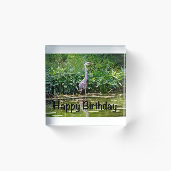 Item preview, Feliz cumpleaños garza designed and sold by Beth Tidd.