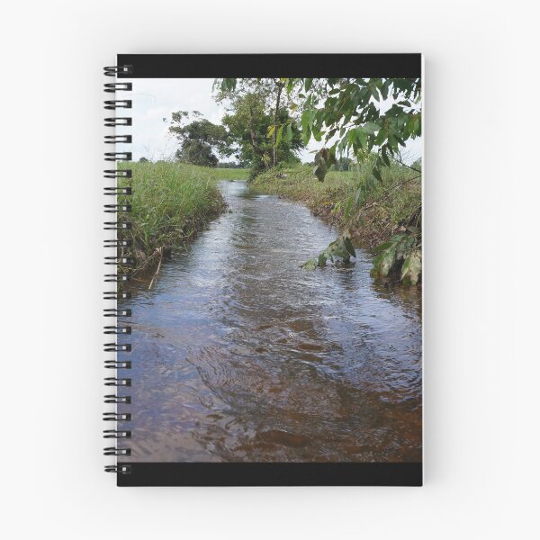 Item preview,  rice fields in Thailand designed and sold by March Rider.