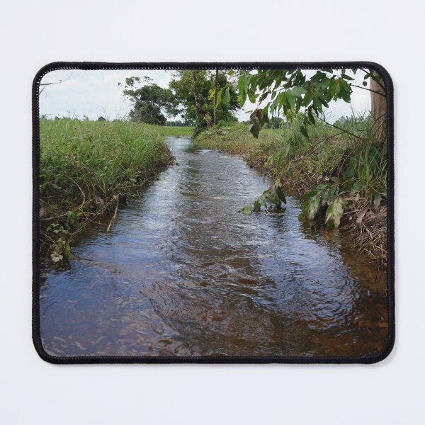 Item preview,  rice fields in Thailand designed and sold by March Rider.