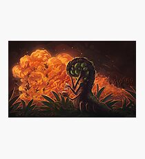 Tragedy Photographic Print