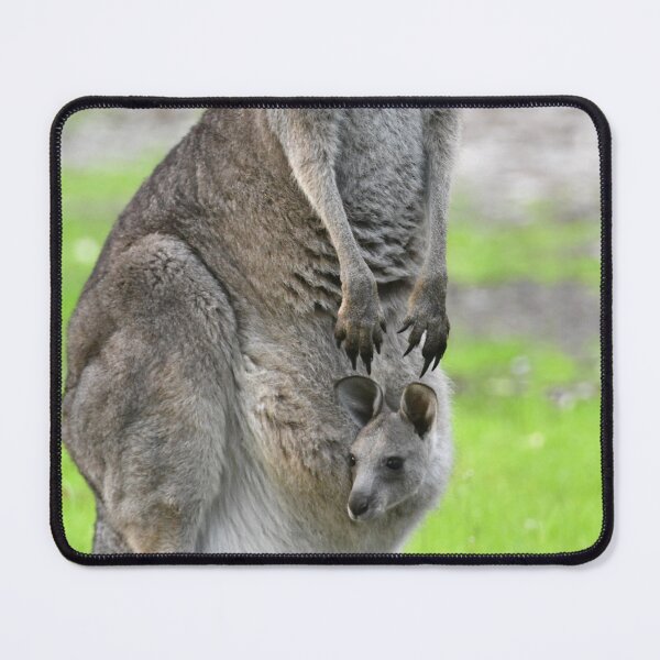 Item preview, Kangaroo with joey looking out of pouch designed and sold by quentinjlang.