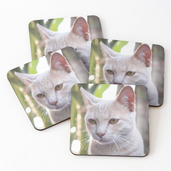 Item preview, my cute cat designed and sold by March Rider.