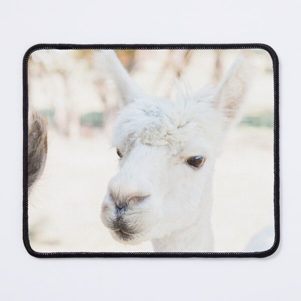Item preview, Pharoah - The Regal Alpaca designed and sold by Wealth-Growth.