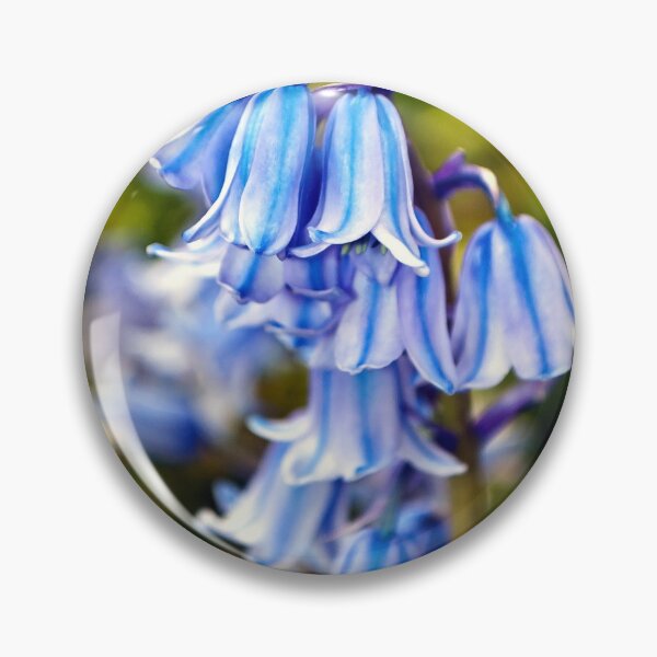 Item preview, Bluebells Spring Flowers Hyacinthoides designed and sold by AndyEvansPhotos.