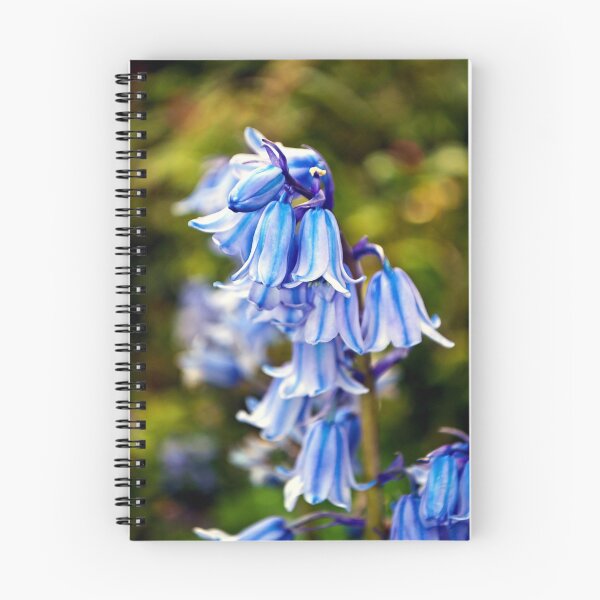 Item preview, Bluebells Spring Flowers Hyacinthoides designed and sold by AndyEvansPhotos.
