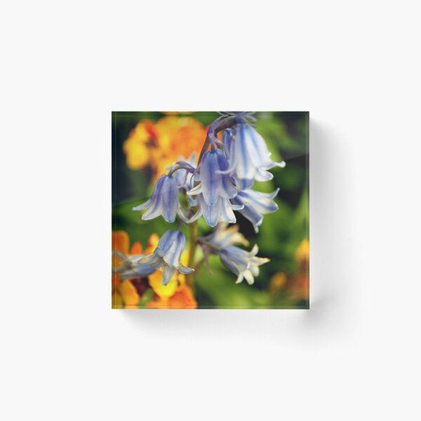 Item preview, Bluebells Spring Flowers Hyacinthoides designed and sold by AndyEvansPhotos.