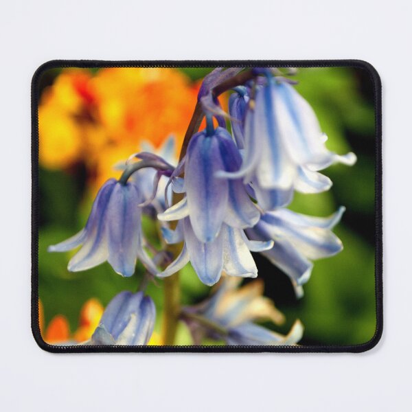 Item preview, Bluebells Spring Flowers Hyacinthoides designed and sold by AndyEvansPhotos.