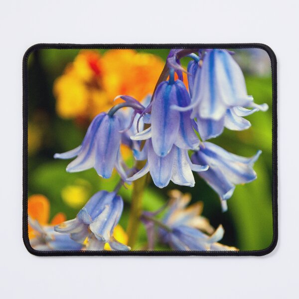 Item preview, Bluebells Spring Flowers Hyacinthoides designed and sold by AndyEvansPhotos.