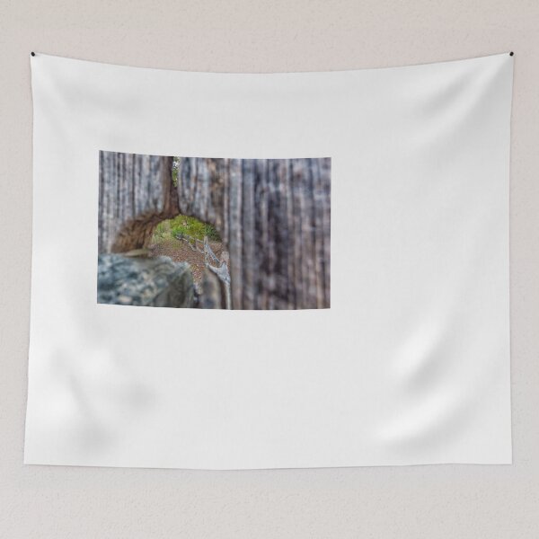 Item preview, Nantahala National Forest designed and sold by GestaltImagery.