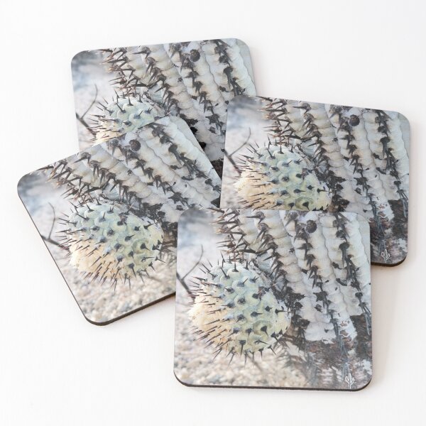 Item preview, Copiapoa columna-alba pop designed and sold by Desertorum.