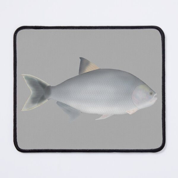 Item preview, Matrinchã designed and sold by fishfolkart.