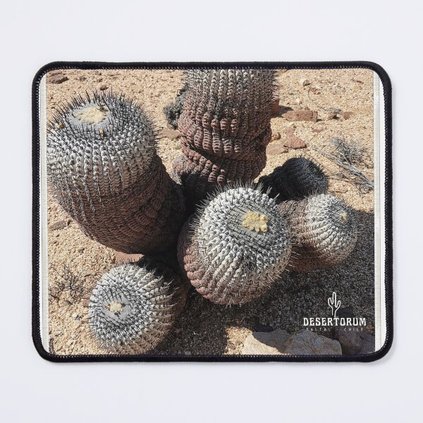 Item preview, Column-alba head explosion designed and sold by Desertorum.