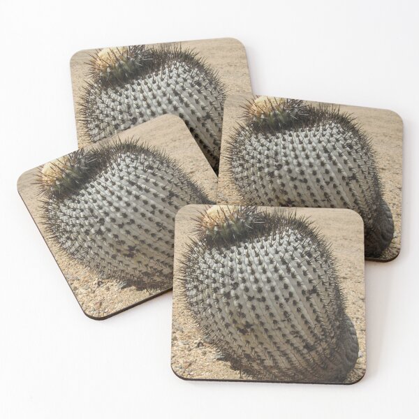 Item preview, Copiapoa columna-alba designed and sold by Desertorum.