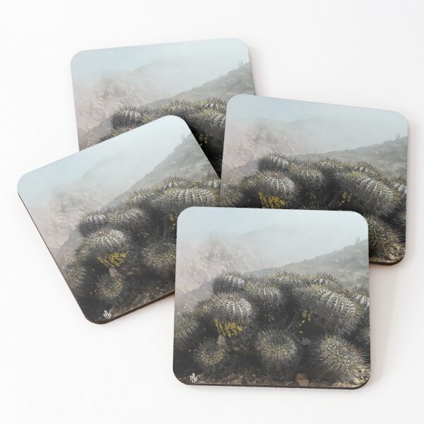 Item preview, Copiapoa grandiflora designed and sold by Desertorum.