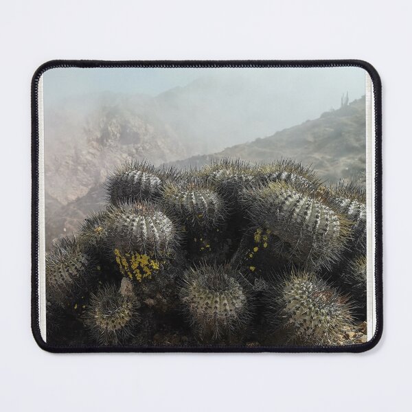 Item preview, Copiapoa grandiflora designed and sold by Desertorum.