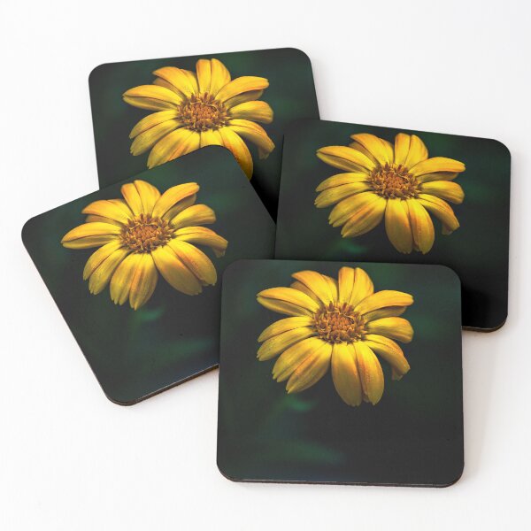 Aperçu de l'œuvre Fleur de Bidens jaune créée et vendue par AJEvans.