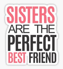 Perfect Gift for the sister in your life, Fun sister gift and birthday gift. Tell her she is the best sister in the world, Ideal birthday, Xmas or Thank You gift Sticker