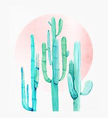 Pretty Cactus Rosegold Pink and Turquoise Desert Cacti Southwest Decor Photographic Print